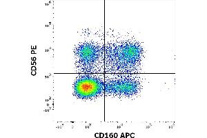 Flow cytometry multicolor surface staining pattern of human lymphocytes using anti-human CD160 (BY55) APC antibody (10 μL reagent / 100 μL of peripheral whole blood) and anti-human CD56 (LT56) PE antibody (10 μL reagent / 100 μL of peripheral whole blood). (CD160 antibody  (APC))