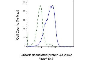 Validation of Growth associated protein 43 knockdown using flow cytometry. (Recombinant GAP43 antibody)