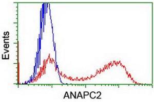 HEK293T cells transfected with either RC207539 overexpress plasmid (Red) or empty vector control plasmid (Blue) were immunostained by anti-ANAPC2 antibody (ABIN2454936), and then analyzed by flow cytometry. (ANAPC2 antibody)
