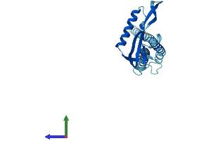 AlphaFold protein structure predicition of Human Recombinant KCNMB2 Protein, UniprotID Q9Y691