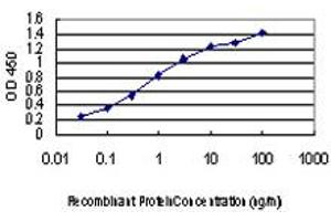 Detection limit for recombinant GST tagged TTN is approximately 0. (Titin antibody  (AA 1-110))