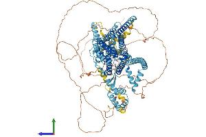 AlphaFold protein structure predicition of Mouse Recombinant Tmc5 Protein, UniprotID Q32NZ6 (Tmc5 Protein (AA 1-967) (His tag))