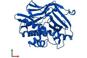 Protein Structure (PS) image for N-Acetyltransferase 1 (Arylamine N-Acetyltransferase) (NAT1) (AA 1-290) protein (His tag) (ABIN7563356)