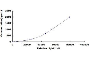 ELISA image for Coagulation Factor III (thromboplastin, Tissue Factor) (F3) CLIA Kit (ABIN492020)