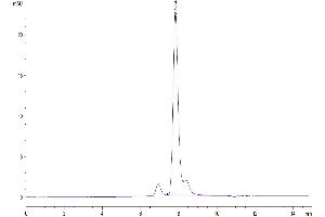 The purity of Mouse LRIG1 is greater than 95 % as determined by SEC-HPLC.