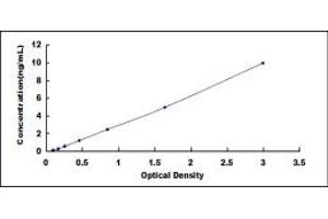 Typical standard curve (FKBP1B ELISA Kit)