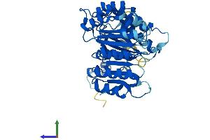 AlphaFold protein structure predicition of Mouse Recombinant Fbxl8 Protein, UniprotID Q8CIG9