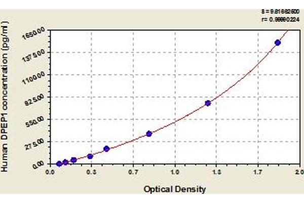 DPEP1 ELISA Kit