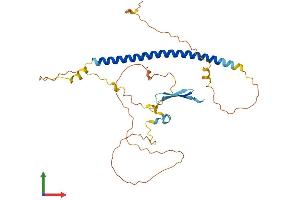 AlphaFold protein structure predicition of Human Recombinant GMNC Protein, UniprotID A6NCL1 (GEMC1 Protein (AA 1-334) (His tag))