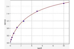 Typical standard curve (CD59 ELISA Kit)