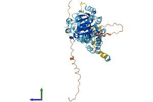 AlphaFold protein structure predicition of Human Recombinant DDX56 Protein, UniprotID Q9NY93 (DDX56 Protein (AA 1-547) (His tag))