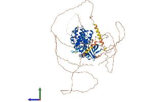 AlphaFold protein structure predicition of Human Recombinant SIK1 Protein, UniprotID P57059 (SIK1 Protein (AA 1-783) (His tag))