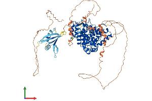 AlphaFold protein structure predicition of Mouse Recombinant Tbc1d25 Protein, UniprotID A1A5B6