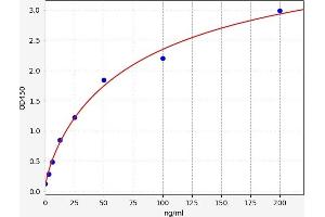 Typical standard curve (Cluster of Differentiation 42 ELISA Kit)