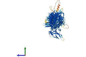 AlphaFold protein structure predicition of Human Recombinant JAK1 Protein, UniprotID P23458 (JAK1 Protein (AA 1-1154) (His tag))