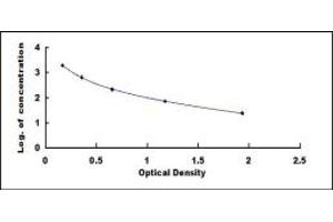 Typical standard curve (Pro-Amylin ELISA Kit)