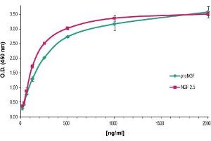 Indirect ELISA of adsorbed proNGF and NGFIncreasing amounts of Recombinant mouse proNGF protein (ABIN7482122, ABIN7491865, ABIN7491866, ABIN7491867, ABIN7491868, ABIN7491869, ABIN7491870, ABIN7491871 and ABIN7491872), (blue) and Native mouse NGF 2.