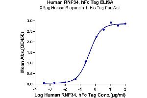 Immobilized Human R spondin 1, His Tag at 5 μg/mL (100 μL/well) on the plate. (RNF34 Protein (AA 24-197) (Fc Tag))