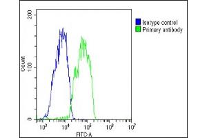 Overlay histogram showing HepG2 cells stained with (ABIN6243636 and ABIN6578784)(green line). (Chemerin antibody  (AA 1-35))