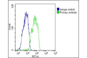 Overlay histogram showing HepG2 cells stained with (ABIN6243636 and ABIN6578784)(green line).