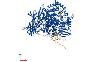 AlphaFold protein structure predicition of Mouse Recombinant Erap1 Protein, UniprotID Q9EQH2 (ERAP1 Protein (AA 1-930) (His tag))