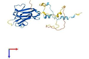 Protein Structure (PS) image for Family with Sequence Similarity 125, Member A (FAM125A) (AA 1-271) protein (His tag) (ABIN7558169)