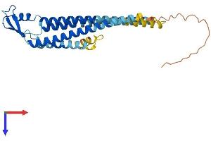 AlphaFold protein structure predicition of Mouse Recombinant Gja6 Protein, UniprotID Q6S5G4 (Gap Junction Protein, alpha 6 (GJA6) (AA 1-283) protein (His tag))