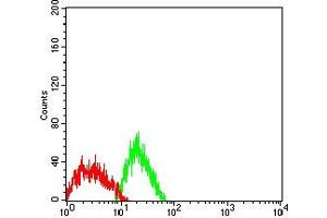 Flow cytometric analysis of SK-N-SH cells using GPC3 mouse mAb (green) and negative control (red). (Glypican 3 antibody  (AA 359-554))