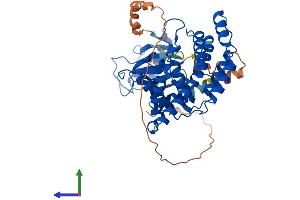 AlphaFold protein structure predicition of Mouse Recombinant Chka Protein, UniprotID O54804 (Choline Kinase alpha Protein (CHKA) (AA 1-453) (His tag))