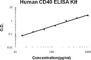 Human CD40/TNFRSF5 EZ Set ELISA Kit standard curve (Human CD40/TNFRSF5 EZ Set™ ELISA Kit (DIY Antibody Pairs))