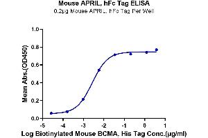 Immobilized Mouse APRIL, hFc Tag at 2 μg/mL (100 μL/well) on the plate. (TNFSF13 Protein (AA 96-241) (Fc Tag))