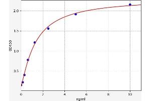 Typical standard curve (Prss29 ELISA Kit)