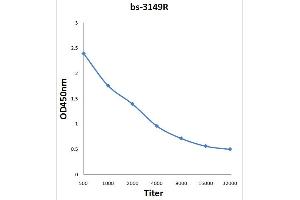 Antigen: 0. (FLT3 antibody  (pTyr589, pTyr591))