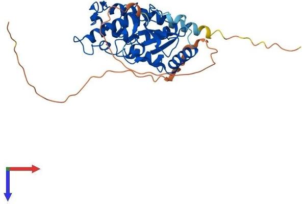 UBE2Z Protein (AA 1-354) (His tag)