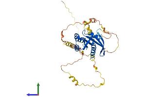 Protein Structure (PS) image for RAS (RAD and GEM)-Like GTP Binding 2 (REM2) (AA 1-340) protein (His tag) (ABIN7551360)