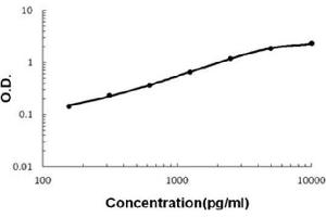 Sandwich ELISA - Recombinant human IGFBP3 protein standard curve. (IGFBP3 antibody  (AA 29-267))