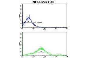 Flow Cytometry (FACS) image for anti-Cadherin 7 (CDH7) antibody (ABIN2998181) (Cadherin 7 antibody)