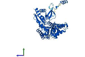 Protein Structure (PS) image for serine Palmitoyltransferase, Long Chain Base Subunit 1 (SPTLC1) (AA 1-473) protein (His tag) (ABIN7555644)