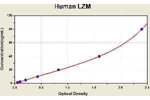 Diagramm of the ELISA kit to detect Human LZMwith the optical density on the x-axis and the concentration on the y-axis.