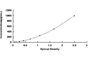 Osteocrin ELISA Kit