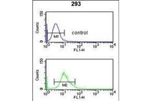 Flow Cytometry (FACS) image for anti-Cytochrome P450, Family 3, Subfamily A, Polypeptide 4 (CYP3A4) (AA 242-270) antibody (ABIN652422)