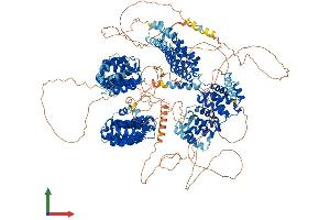 AlphaFold protein structure predicition of Mouse Recombinant Clasp1 Protein, UniprotID Q80TV8