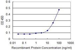 Detection limit for recombinant GST tagged FLJ23834 is approximately 1ng/ml as a capture antibody. (ALT antibody  (AA 1-496))