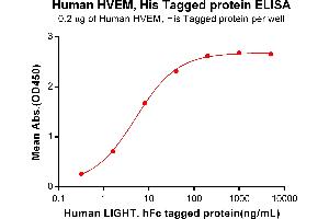 ELISA plate pre-coated by 2 μg/mL (100 μL/well) Human HVEM, His tagged protein (ABIN6964089) can bind Human LIGHT, hFc tagged protein in a linear range of 0.