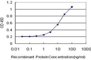Detection limit for recombinant GST tagged KCNG3 is approximately 0. (KCNG3 antibody  (AA 23-121))