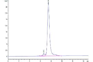 CLEC14A Protein (AA 22-397) (His tag)