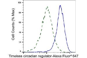Validation of Timeless circadian regulator knockdown using flow cytometry.