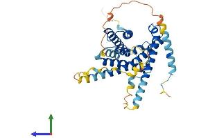 AlphaFold protein structure predicition of Mouse Recombinant Igbp1b Protein, UniprotID Q9QZ29