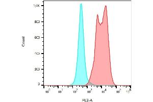 Surface staining of PMA/ionomycin-activated PBMC using anti-CD154 (24-31) PE. (CD40 Ligand antibody  (PE))