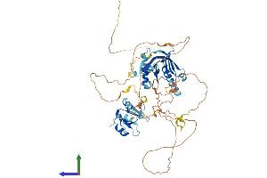 AlphaFold protein structure predicition of Mouse Recombinant Shc1 Protein, UniprotID P98083 (SHC1 Protein (AA 1-579) (His tag))